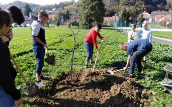 Tjedan kolektivne sadnje stabala u RH