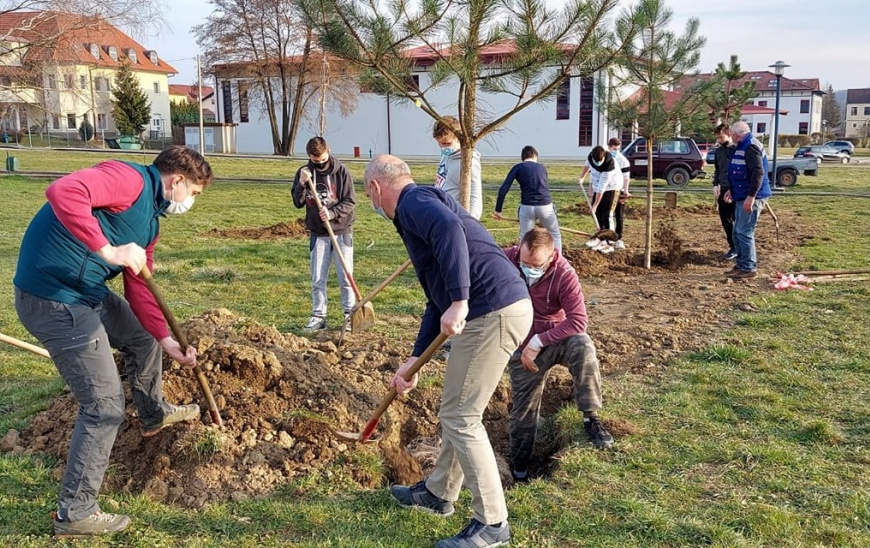 Akcija sadnje drveća